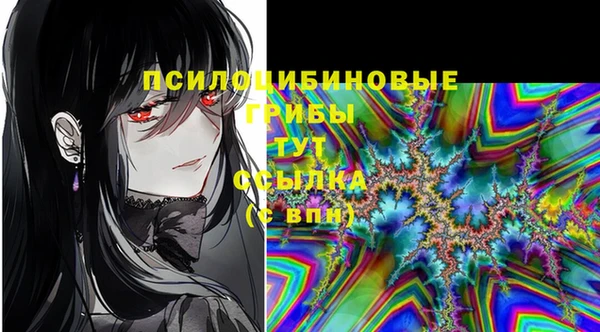 бошки Аркадак