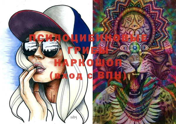 бошки Аркадак