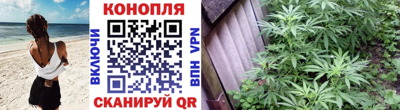 Каннабис Amnesia kraken ONION Светлогорск